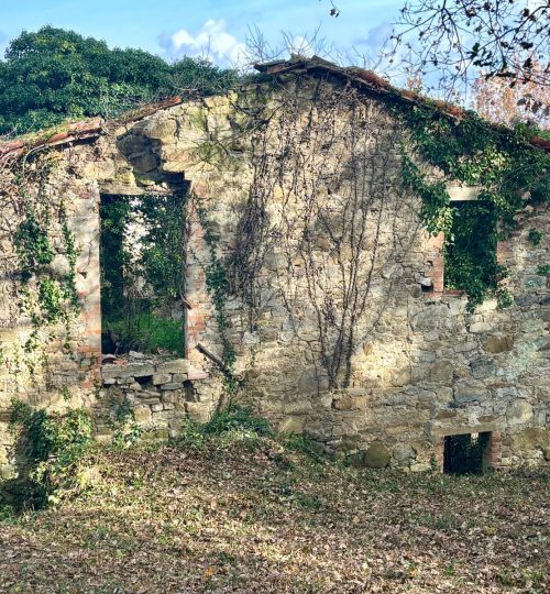 Progetto immobiliare immerso nella natura