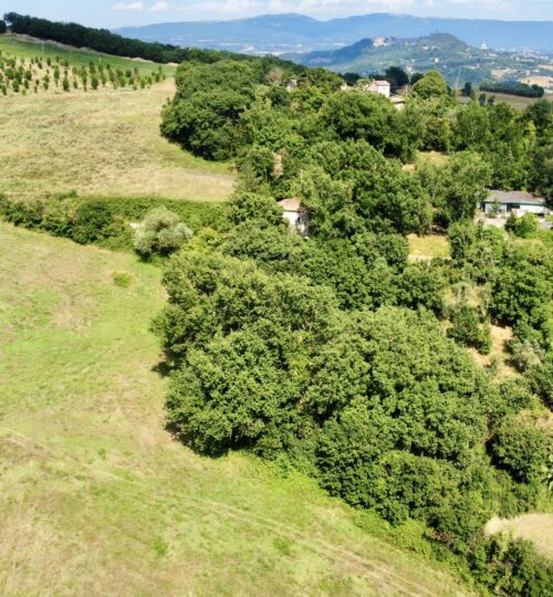Canonica – Terreno edificabile con ampi spazi verdi e annessi agricoli