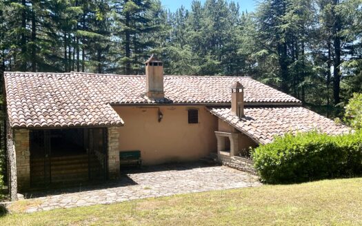 Casale con terreno.